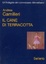 Cover of Il cane di terracotta