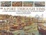 Cover of "A Port Through Time"