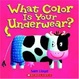 Cover of What Color Is Your Underwear?