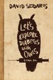 Cover of Let's Explore Diabetes with Owls