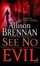 Cover of "See No Evil"