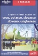 Cover of Capire e farsi capire in ceco, polacco, slovacco, sloveno, ungherese