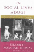 Social Lives of Dogs : The Grace of Canine Company