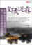 Cover of '皇陵迷霧'
