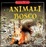 Cover of Gli animali del bosco