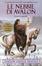 Cover of Le nebbie di Avalon