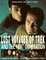Cover of Lost Voyages of Trek and the Next Generation