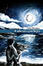 Cover of Il silenzio perfetto