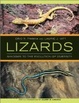 Cover of Lizards