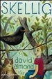 Cover of Skellig