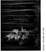 Cover of Ansel Adams at 100