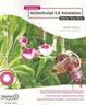 Cover of Foundation Actionscript 3.0 Animation