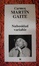 Cover of Nubosidad variable