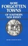 Cover of "More Forgotten Towns of Southern New Jersey"