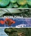 Cover of 'Moving Pixels'