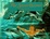 Cover of Secret Oceans, The