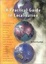 Cover of A Practical Guide to Localization