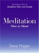 Cover of Meditation Now or Never