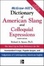 Cover of 'McGraw-Hill's Dictionary of American Slang and Colloquial Expressions'