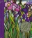 Cover of Birthday Book
