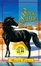 Cover of The Black Stallion