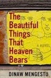 Cover of The Beautiful Things That Heaven Bears