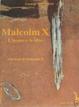 Cover of Malcolm X: l'uomo e le idee