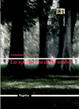 Cover of Lo spettacolo delle ombre
