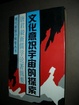 Cover of 文化意识宇宙的探索