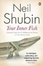 Cover of Your Inner Fish