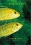 Cover of The Cichlid Fishes