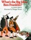 Cover of "What's The Big Idea, Ben Franklin?"