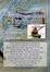 Cover of Seamanship for Kayakers