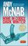Cover of Nome in codice Dark Winter