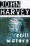 Cover of "Still Waters"