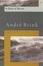 Cover of A CHAIN OF VOICES.
