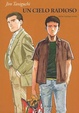 Cover of Un cielo radioso