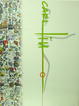 Cover of Carl Liu Design Book