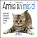 Cover of Arriva un micio! Preparativi, attrezzatura, accoglienza, consigli, cure