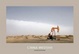 Cover of China Western