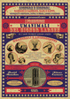 Cover of I prodigiosi umanimali del signor Larson