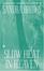 Cover of "Slow Heat in Heaven"