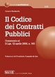 Cover of Il codice dei contratti pubblici