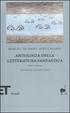 Cover of Antologia della letteratura fantastica