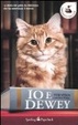 Cover of Io e Dewey