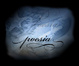 Cover of Poesia & C.