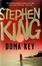 Cover of "Duma Key"