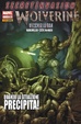 Cover of Wolverine n. 234
