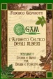 Cover of Ogam, l'alfabeto celtico degli alberi