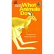 Cover of Richard Scarry's What Animals Do